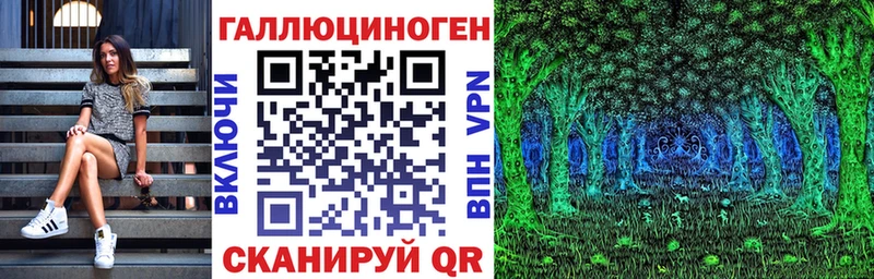 Галлюциногенные грибы Psilocybe Новая Ладога